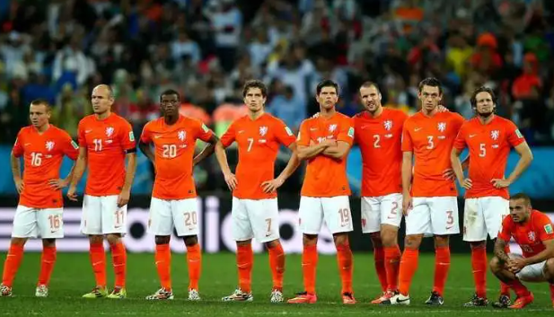 2014年世界杯荷兰队主教练是谁