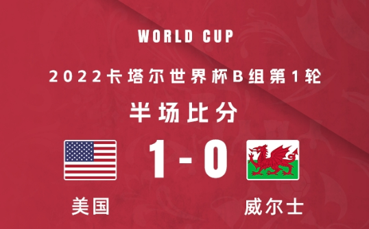 美国1-0威尔士