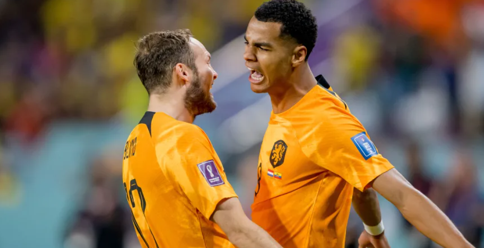  荷兰2:1卡塔尔，世界杯小组赛荷兰能否获得出线机会