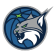 WNBA明尼苏达山猫队logo