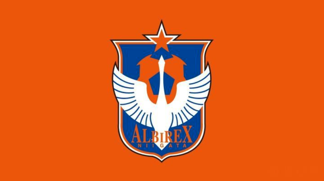 2024赛季新泻天鹅一线队阵容,新泻天鹅最新阵容介绍